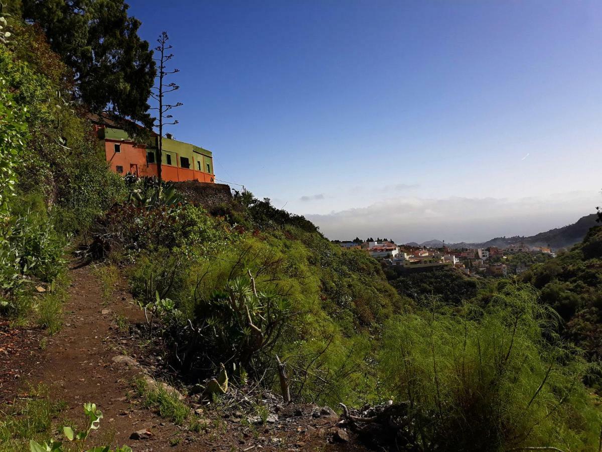 Camino Art House Διαμέρισμα Vega de San Mateo Εξωτερικό φωτογραφία