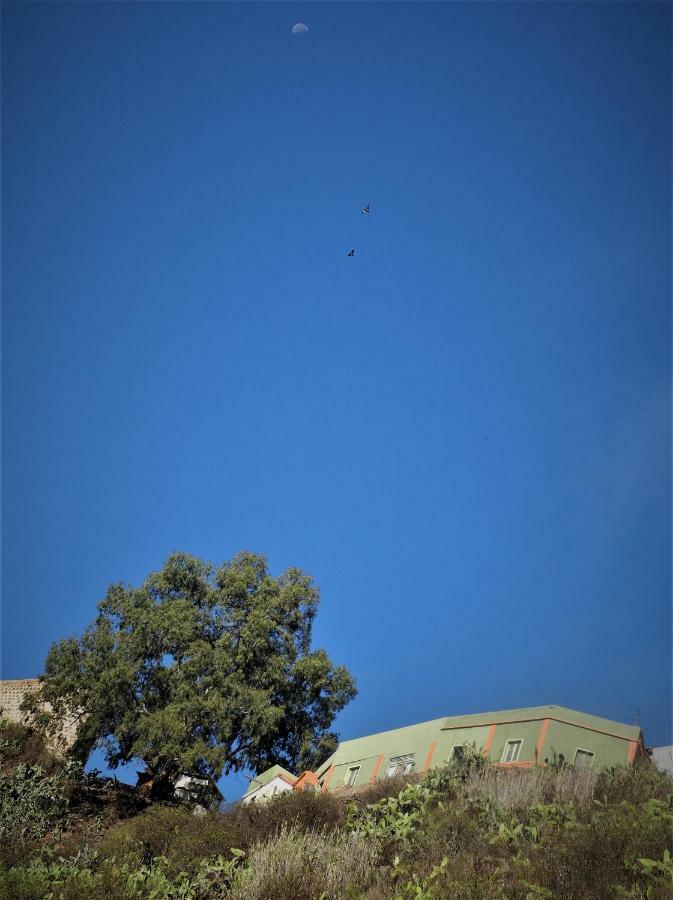 Camino Art House Διαμέρισμα Vega de San Mateo Εξωτερικό φωτογραφία