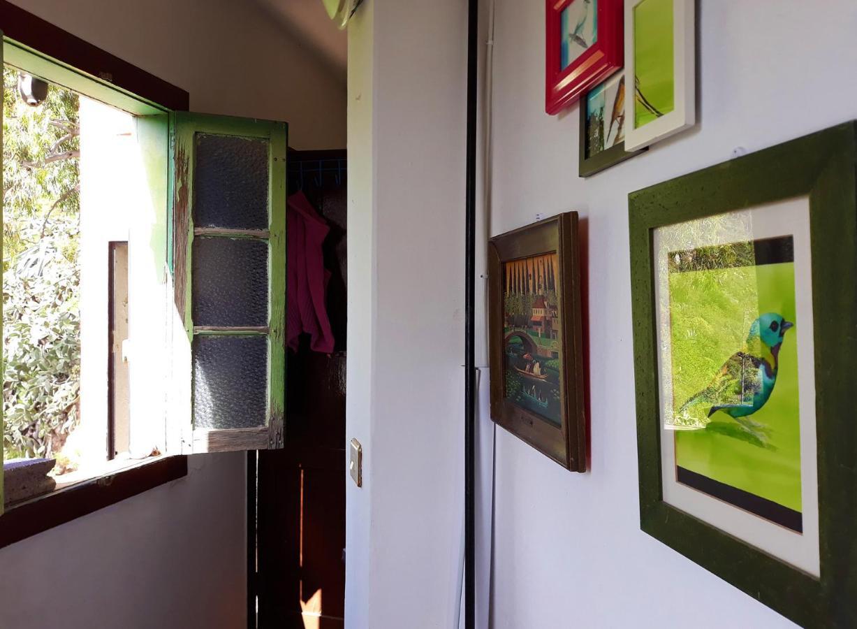 Camino Art House Διαμέρισμα Vega de San Mateo Εξωτερικό φωτογραφία