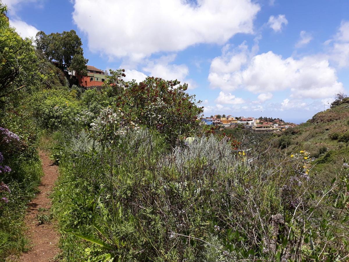 Camino Art House Διαμέρισμα Vega de San Mateo Εξωτερικό φωτογραφία